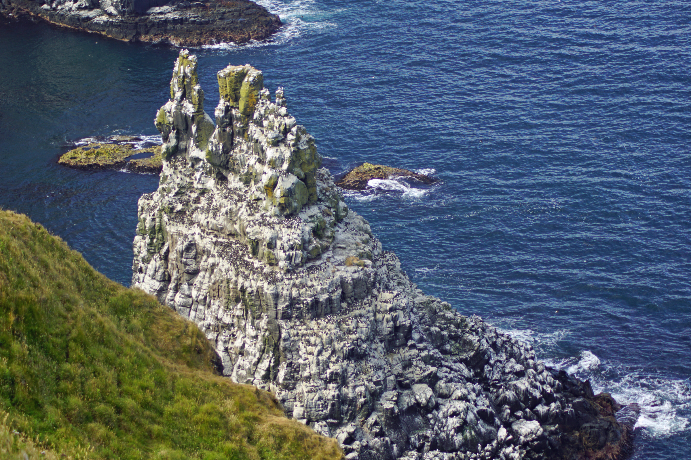 154 rathlin island.webp